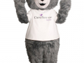 1_Dalton-Agency-CareSource-Bear