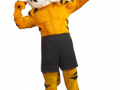 1_Hutchinson-High-School-Hutch-the-Tiger