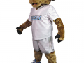 Alief Elsik High School - Rocky the Ram