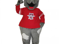 Allen Americans - Biscuit the bulldog