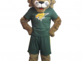 Basehor Linwood High School - Bobby Bobcat