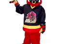 Belleville Bulls - Bullie