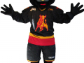 Belleville Bulls - Little Bullie