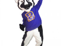 Berkshire High School - Badger