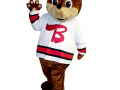 Bruins Plumbing - Bear that Cares