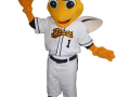 Burlington Bees - Buzz the Bee