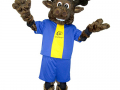 Cochlear Americas - Moose