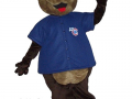 Iowa Cubs - Cubby Bear