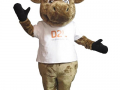 D2L - Moose