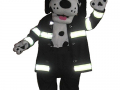 Vancouver Firefighters - Dalmation