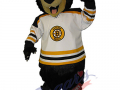 Estevan Bruins Hockey - Bruino