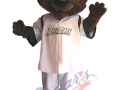 Gary Southshore Railcats - Rascal