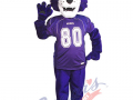 Hartington Elementary School - Willy the Wildcat