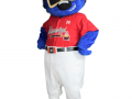 Mississippi-Braves-Baseball-Club-Diddly