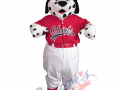 Peoria Chiefs - Homer