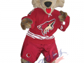 Phoenix Coyotes - Howler