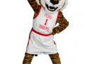 Princeton-Community-School-Tiger