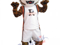 Riverside City College - Boy Tiger