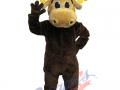 Rochester Americans - The Moose