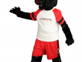 Rockland-Academy-of-Martial-Arts-Kaos-the-Panther