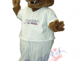 Gary Southshore Railcats - Rusty