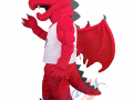 SUNY - Red Dragon