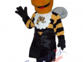 Sarnia Sting - Baby Buzz