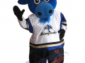 Sioux Falls Stampede Hockey - Stomp