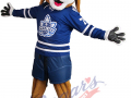 Toronto Marlies - Duke the Dog