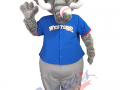 United Shore Baseball - Woolly Mammoth