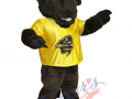 University of Manitoba - Billy the Bison