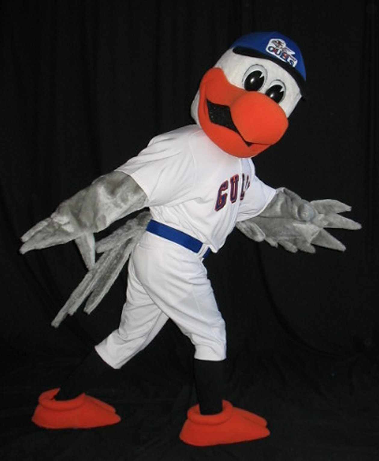 The Toronto Blue Jays are - Sugar's Mascot Costumes