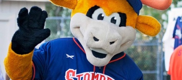 The Toronto Blue Jays are - Sugar's Mascot Costumes